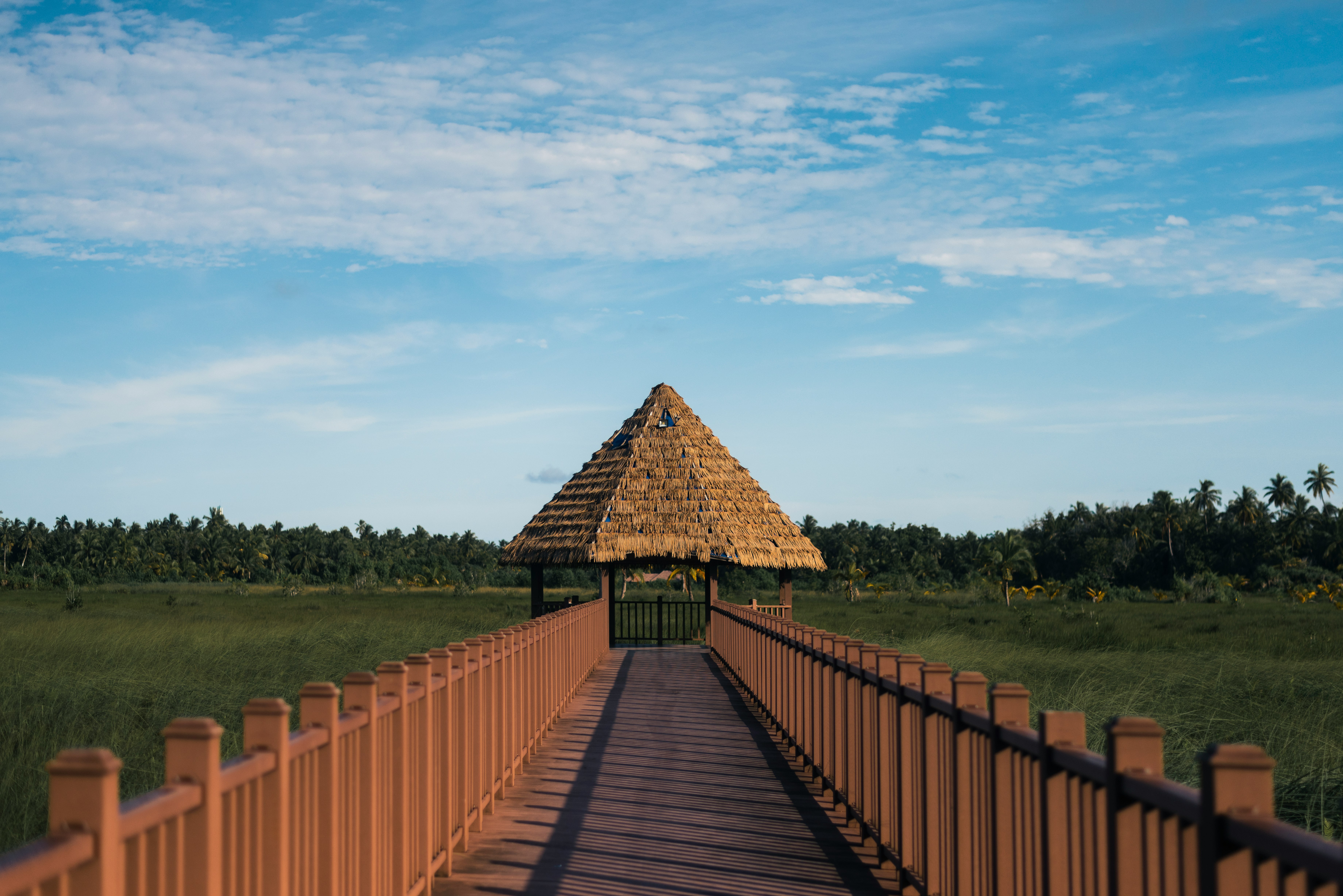 brown wooden pathway between green grass field under blue sky during daytime